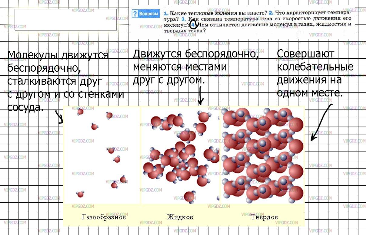 Какая картинка наиболее точно показывает движение молекул