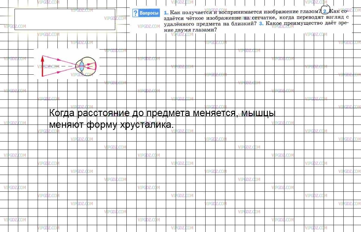 Как получается воспринимается изображение глазом