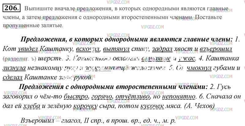 Прочитайте текст выпишите предложения с однородными. Выпишите вначале предложения в которых однородными. Русский язык 5 класс страница 95 номер 206. Гдз по русскому 5 класс номер 206.