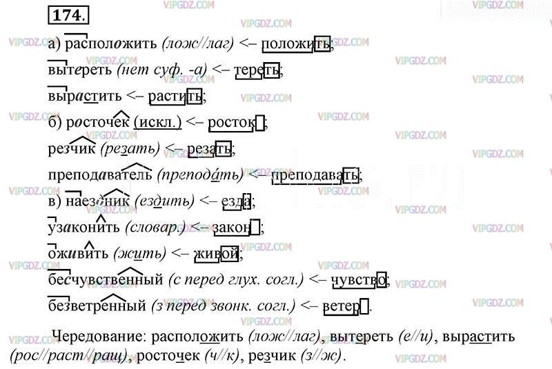 Русс 6 класс упр. Домашнее задание по русскому языку 6 класс упражнение 174. Русский язык 6 класс ладыженская номер 174. Гдз по русскому языку 6 класс ладыженская упражнение 174. Русский язык 6 класс ладыженская 1 часть упражнение 174.